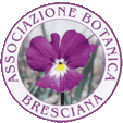 immagine non presente