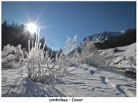 immagine 02 di 22