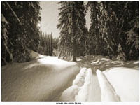 immagine 05 di 22