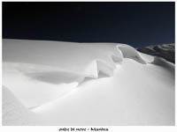 immagine 14 di 22