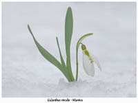 immagine 16 di 22