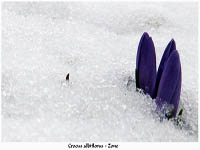 immagine 17 di 22