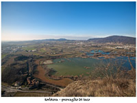 immagine 13 di 13