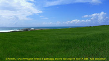 immagine 80 di 80