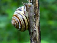 immagine 09 di 28