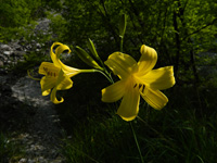 immagine 10 di 28