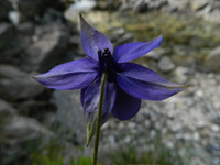 immagine 08 di 28